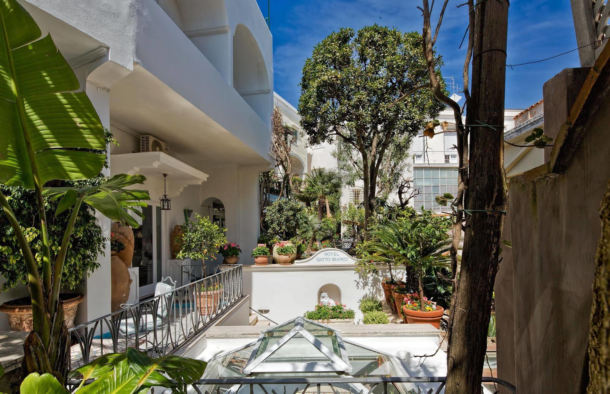 Albergo Gatto Bianco Capri Exterior foto